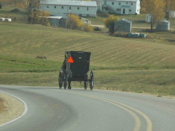 Buggy Going Down A Country Road