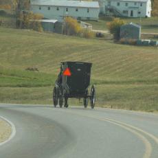 Buggy Going Down A Country Road