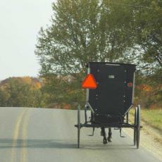 Amish Horse and Buggy Cashton, WI  