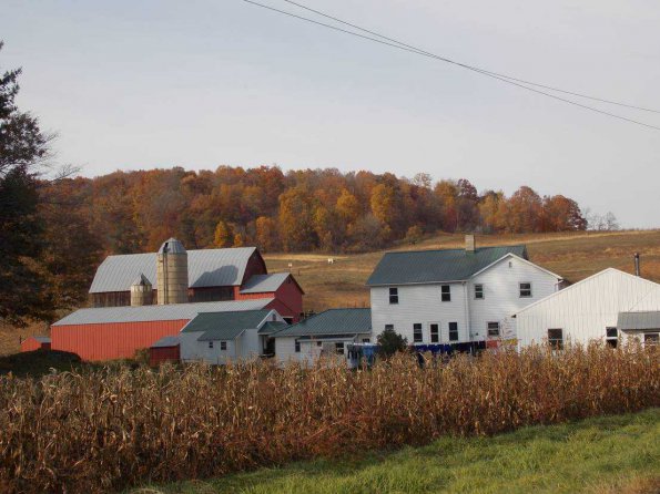 Amish Farm