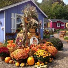 Outdoor Haloween Decor